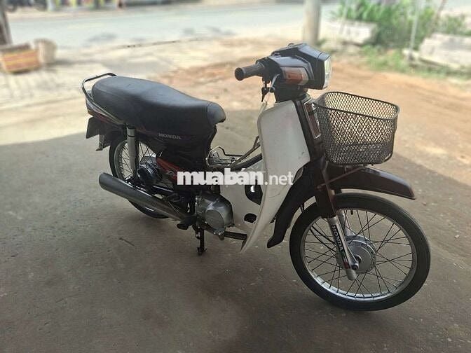 DIM HÀN QUỐC . BSTP cà vẹt đầy đủ .