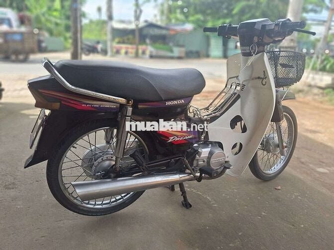 DIM HÀN QUỐC . BSTP cà vẹt đầy đủ .