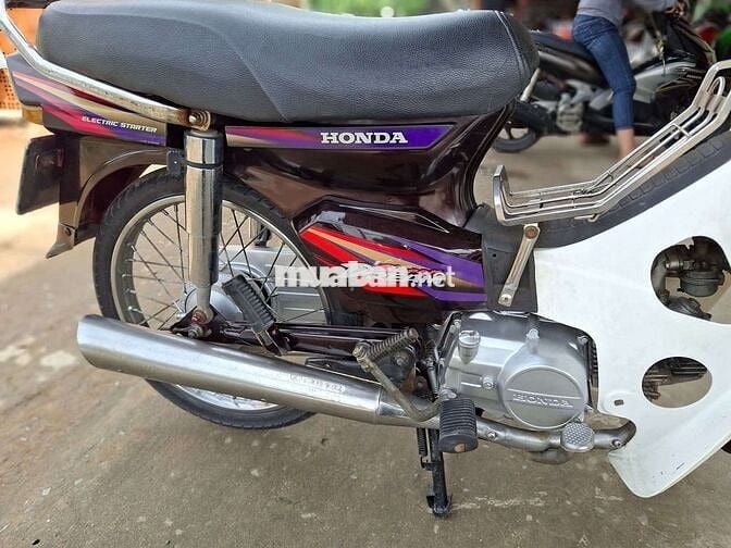 DIM HÀN QUỐC . BSTP cà vẹt đầy đủ .