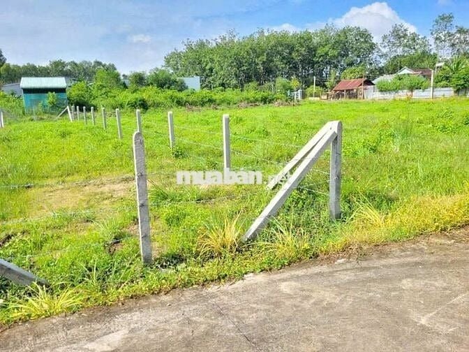 2 LÔ LIỀN KỀ. ĐƯỜNG BÊ TÔNG 5x31m FULL THỔ CƯ. CHỈ 490Tr