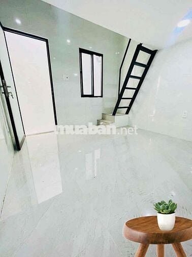 cho thuê phòng không chung chủ, giờ giấc tự do