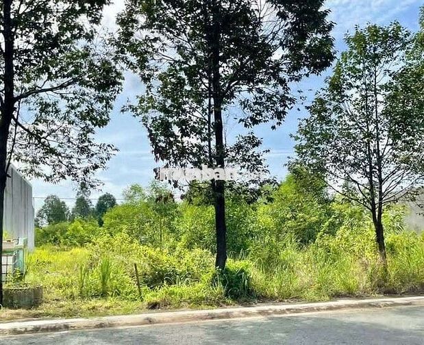 Cắt lỗ! Bán lô đất giá rẻ Bến Cát 150m2 giá 800tr kế bên ĐH Việt Đức