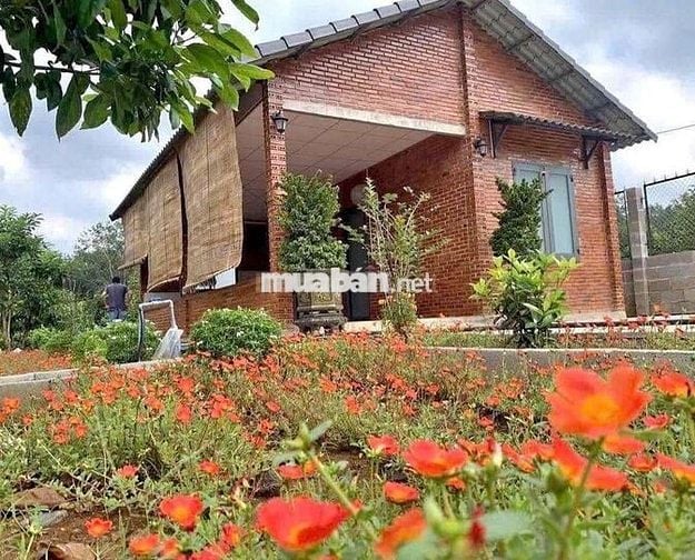 🌿 “NẾU MỆT QUÁ… VỀ ĐÂY Ở VỚI EM” 🌿