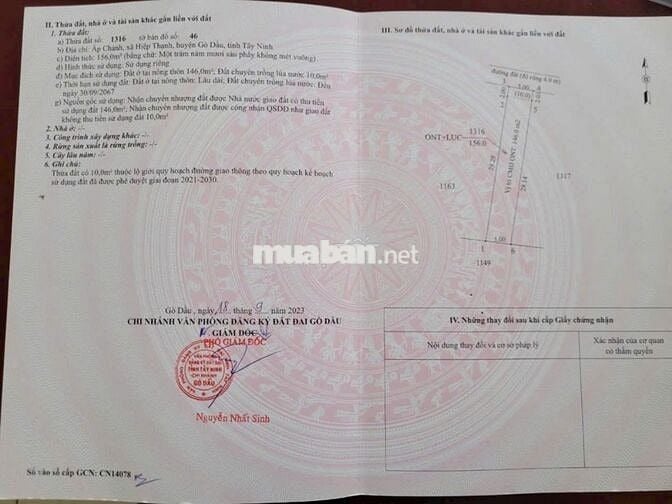 2 LÔ LIỀN KỀ. ĐƯỜNG BÊ TÔNG 5x31m FULL THỔ CƯ. CHỈ 490Tr