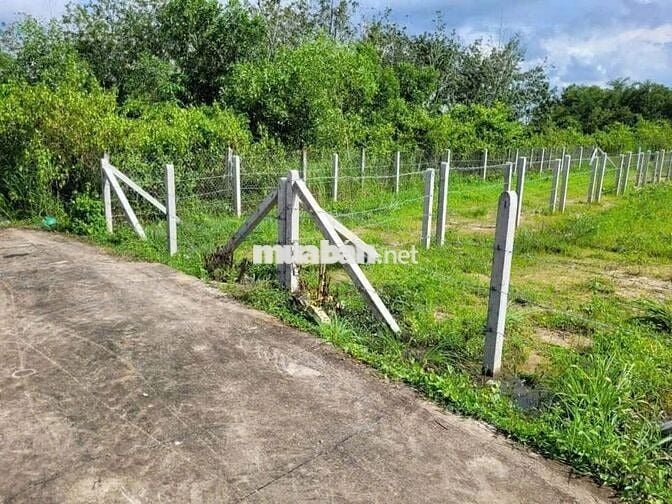 2 LÔ LIỀN KỀ. ĐƯỜNG BÊ TÔNG 5x31m FULL THỔ CƯ. CHỈ 490Tr