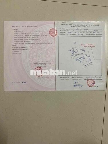 Chính chủ bán nhà Biệt Thự mini 3 tầng.