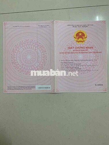 Chính chủ bán nhà Biệt Thự mini 3 tầng.