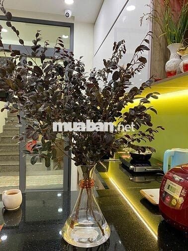 Nhà mới 4 tầng, đường nhựa 8m, công viên, KDC BÌNH LỢI, Q.BÌNH THẠNH