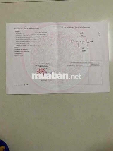 Chính chủ bán nhà Biệt Thự mini 3 tầng.