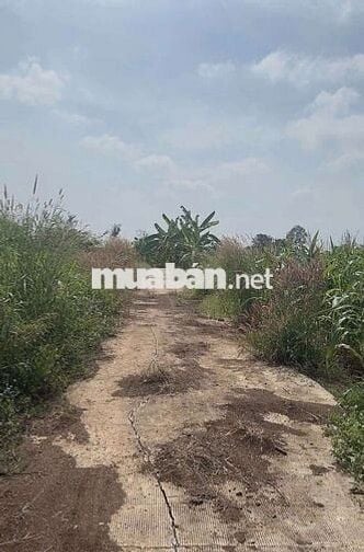 BĐS view suối nước quanh năm, hẻm ô tô, gần trường, gần chợ