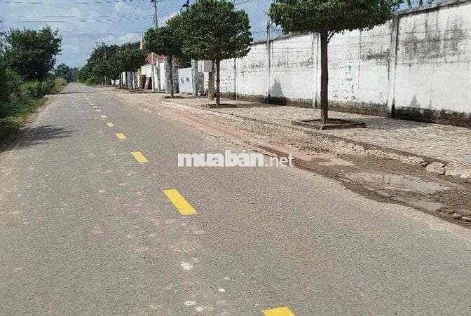 Kẹt tiền bán nhanh lô đất 116m2 290Tr ngay Trừ Văn Thố-Bàu Bàng