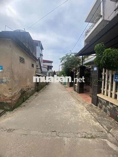 Chính chủ bán nhà Biệt Thự mini 3 tầng.