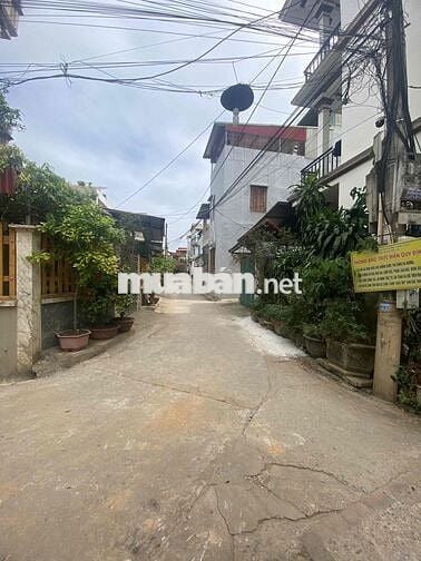 Chính chủ bán nhà Biệt Thự mini 3 tầng.