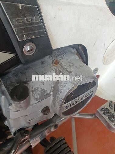 Xe dream thái biển hải dương