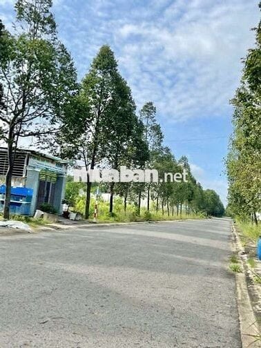 Cắt lỗ! Bán lô đất giá rẻ Bến Cát 150m2 giá 800tr kế bên ĐH Việt Đức