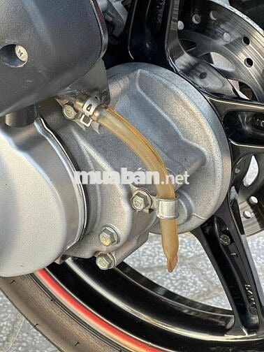 Sh 150 nhập Ý 2011 sm17