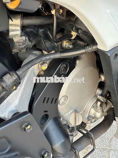 Sh 150 nhập Ý 2011 sm17