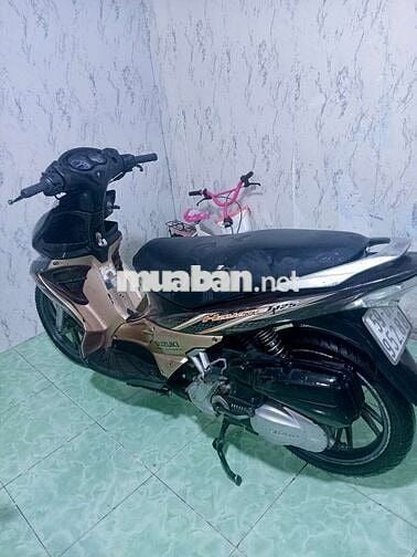 Suzuki Hayate màu Nâu Vàng đồng