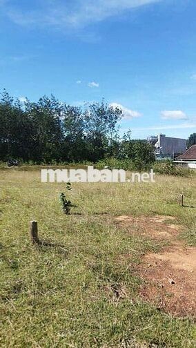 Bán đất view hồ chà môn, thôn 4 dakcam, sổ sẵn.