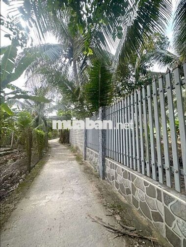 Cần bán đất sẵn thổ cư cách Nam Hải 1km