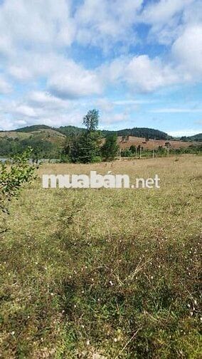 Bán đất view hồ chà môn, thôn 4 dakcam, sổ sẵn.