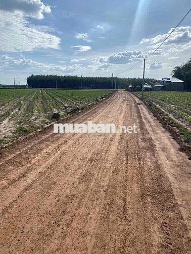 Chính chủ cần bán lô đất full thổ cư cách 100m đường nhựa