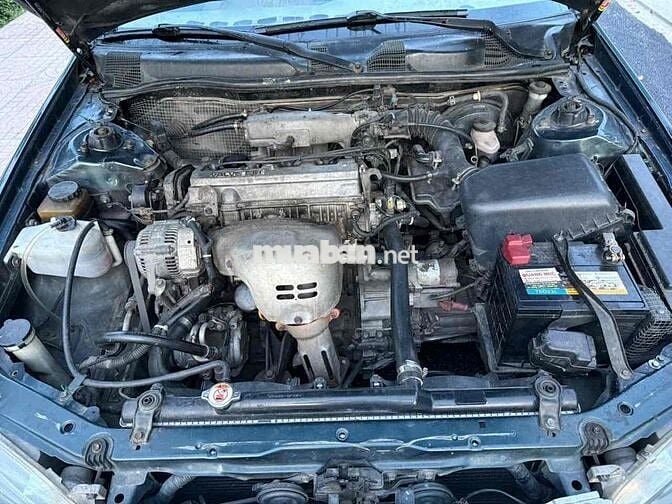 Toyota Camry 1999 - form đèn bông