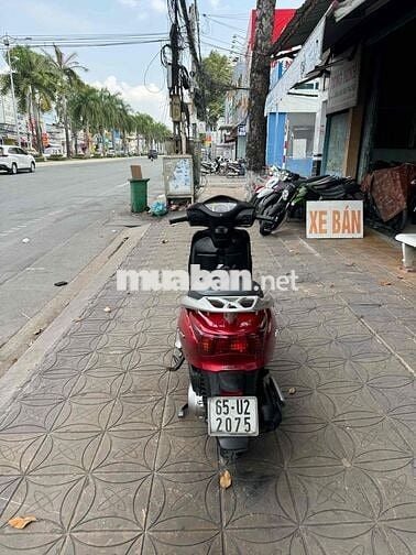 HONDA LEAD FI (2010) BS:65U2:CẦN THƠ