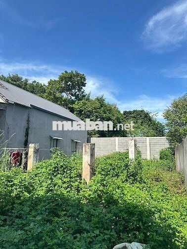 CHỦ BÁN LÔ ĐẤT LONG PHƯỚC GẦN TL52 – ĐÔNG DÂN CƯ – GIÁ CHỈ 1 TỶ 750