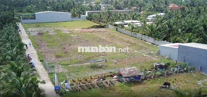 BÁN NHANH 2 NỀN CUỐI LIỀN KỀ GIÁ F0 P.TRUNG AN - ĐẤT 100% THỔ