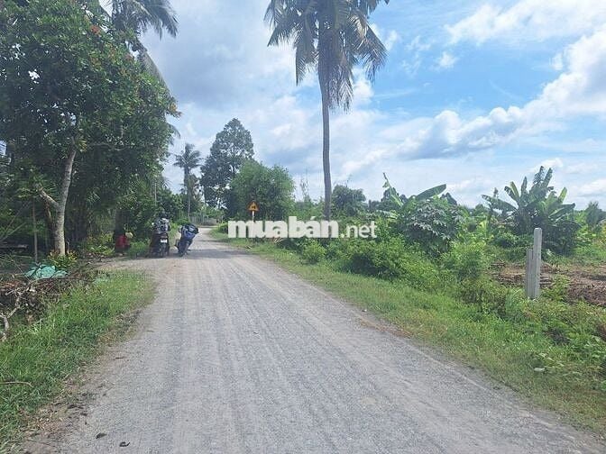 🔥 ĐẤT MẶT TIỀN ĐƯỜNG 8M – SỔ RIÊNG – GIÁ CHỈ 450 TRIỆU 🔥