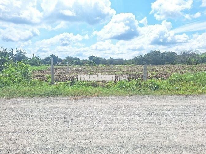 🔥 ĐẤT MẶT TIỀN ĐƯỜNG 8M – SỔ RIÊNG – GIÁ CHỈ 450 TRIỆU 🔥