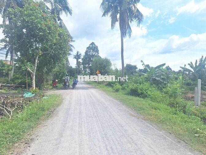 🔥 ĐẤT MẶT TIỀN ĐƯỜNG 8M – SỔ RIÊNG – GIÁ CHỈ 450 TRIỆU 🔥