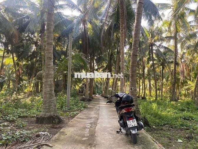 Cần bán đất sẵn thổ cư cách Nam Hải 1km