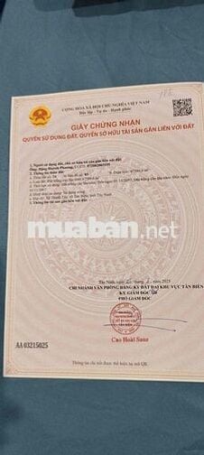 CHỦ GỬI ĐẤT LÀM KHO XƯỞNG TẠI TÂY NINH