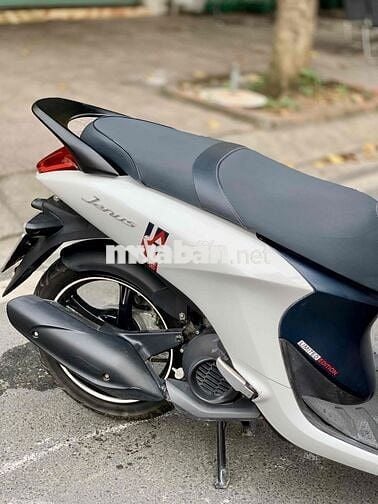 Yamaha Janus 2019 Smartkey Chính Chủ BSTP Xe Đẹp