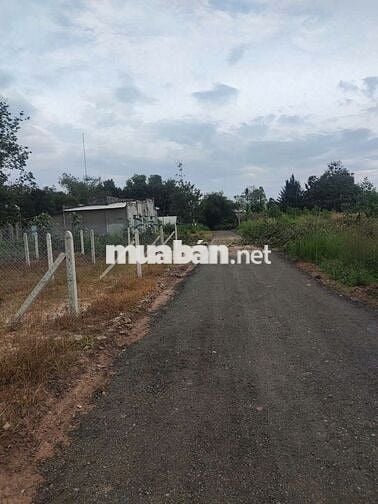 200TR NHẬN SỔ ĐÓN ĐẦU KCN HIỆP THẠNH