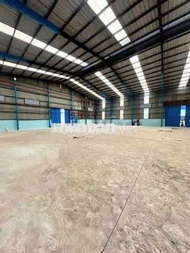 CHO  THUÊ  KHO  XƯỞNG ( 1000m2 )  ĐỨC HÒA, LONG AN