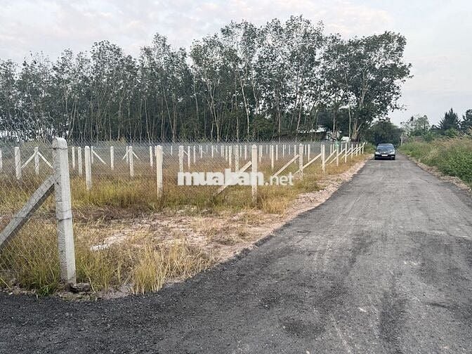 200TR NHẬN SỔ ĐÓN ĐẦU KCN HIỆP THẠNH