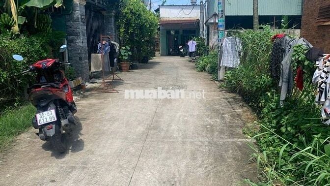 Bán đất thổ cư 8x20 1/ Xuân Thới Thượng 25, Xuân Thới Thượng, Hóc Môn