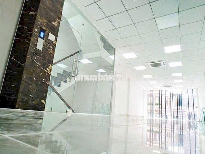 💼 Tòa Nhà 5 Tầng Quận 1 – Thang Máy, Diện Tích 5.5x20m – Giá Cực Tốt
