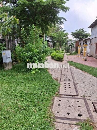 BÁN GẤP NHÀ NÁT 78/5G XUÂN THỚI ĐÔNG 3 , XÃ XUÂN THỚI SƠN( XTĐ cũ)