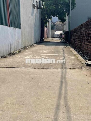 ❌ CHÍNH CHỦ CẦN TIỀN BÁN GẤP TẠI TIỀN PHONG MÊ LINH HÀ NỘI