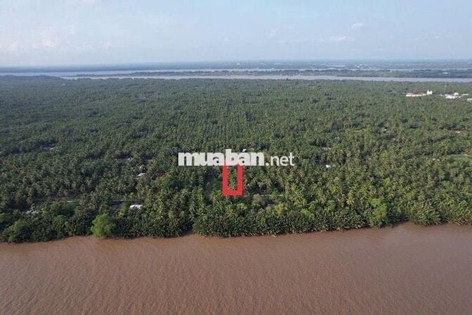 Đất thổ cư view sông 300m2 giá rẻ chỉ 339tr tại Tiền Giang cách SG70km