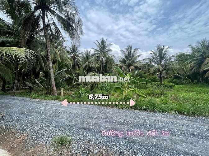 Đất thổ cư view sông 300m2 giá rẻ chỉ 339tr tại Tiền Giang cách SG70km