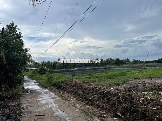 280 Triệu/1.000m² – Cơ hội đầu tư đất vườn ven sông hiếm có 🌴🌊