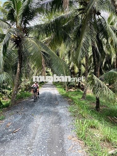 Đất thổ cư view sông 300m2 giá rẻ chỉ 339tr tại Tiền Giang cách SG70km