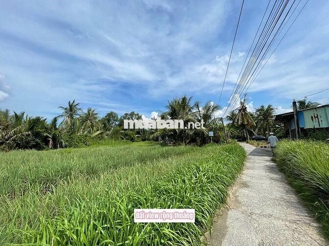 🌿Đất vườn 367m² có 100m² thổ cư – cù lao Tân Phú Đông, chỉ 360 triệu