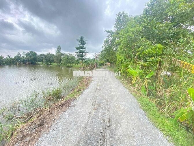 ĐẤT RUỘNG ĐƯỜNG ĐÁ MI 519m2 PHƯỜNG BÌNH ĐỨC MỚI