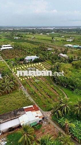 🌿Đất vườn 367m² có 100m² thổ cư – cù lao Tân Phú Đông, chỉ 360 triệu